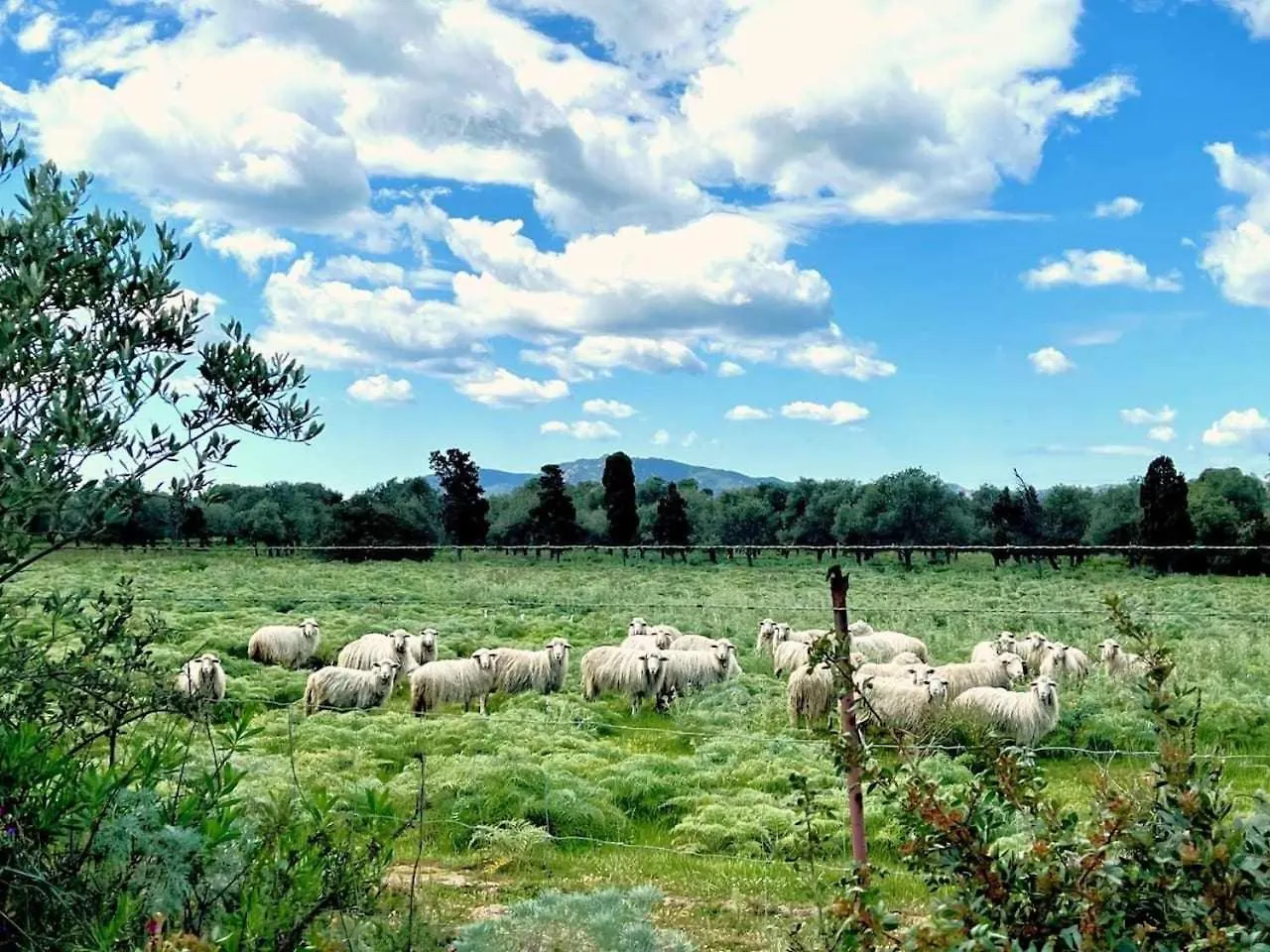 Villa Azurella Il Paradiso E Qui Pula Italien